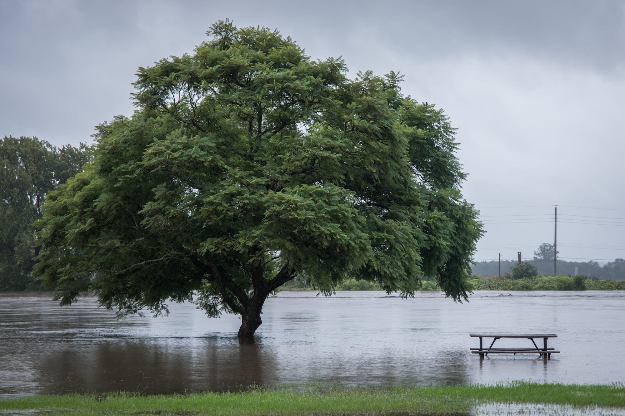 Flood waters